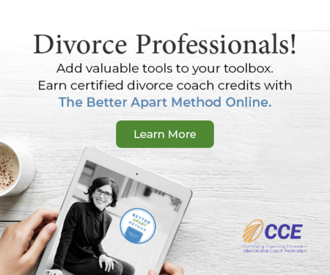 Divorce Professional Guide to Practice with Profit and Peace