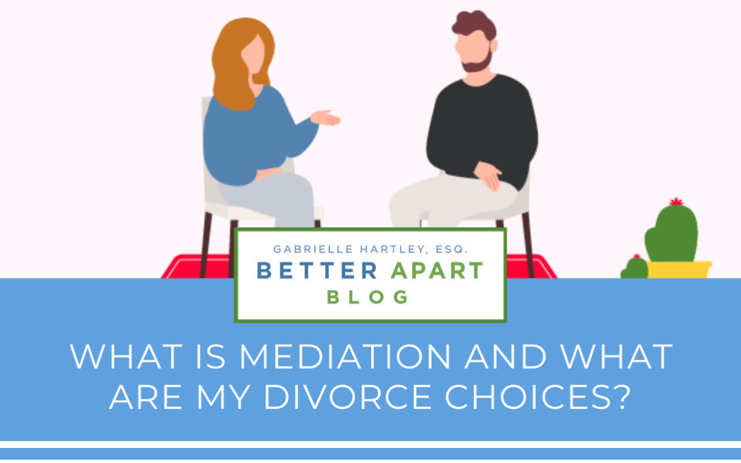 What is Mediation and What Are My Divorce Choices?