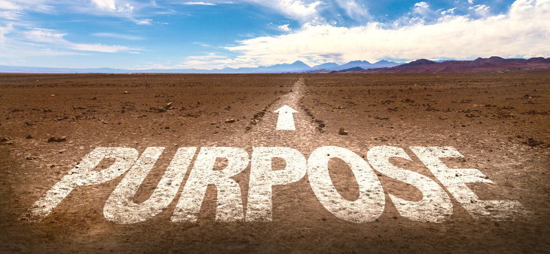 finding your purpose