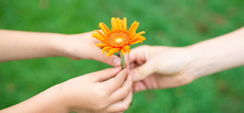 adult hand handing a pair of child hands a flower<br />

